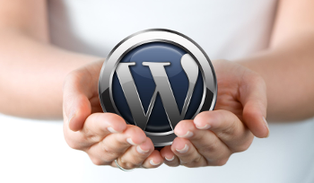 Wordpress design Colani